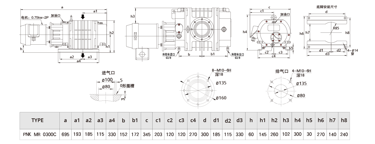 PNK MR 0300C羅茨（cí）真空泵